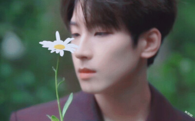 WONWOO 全圆佑