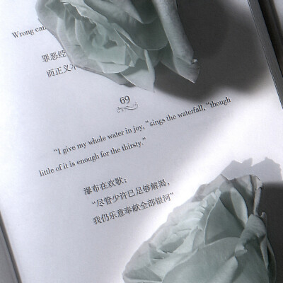 ：玫瑰薄荷茶凍/민트색 여름.
