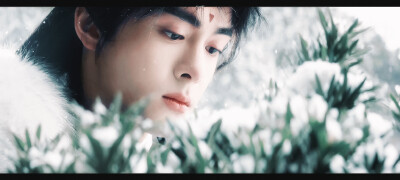 云之羽▪群像
cr.瓜头小猫