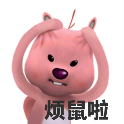烦鼠啦