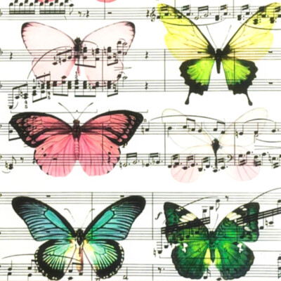 ✪ SIX｜❥ (՞_ ̫ _՞)ᐝ 