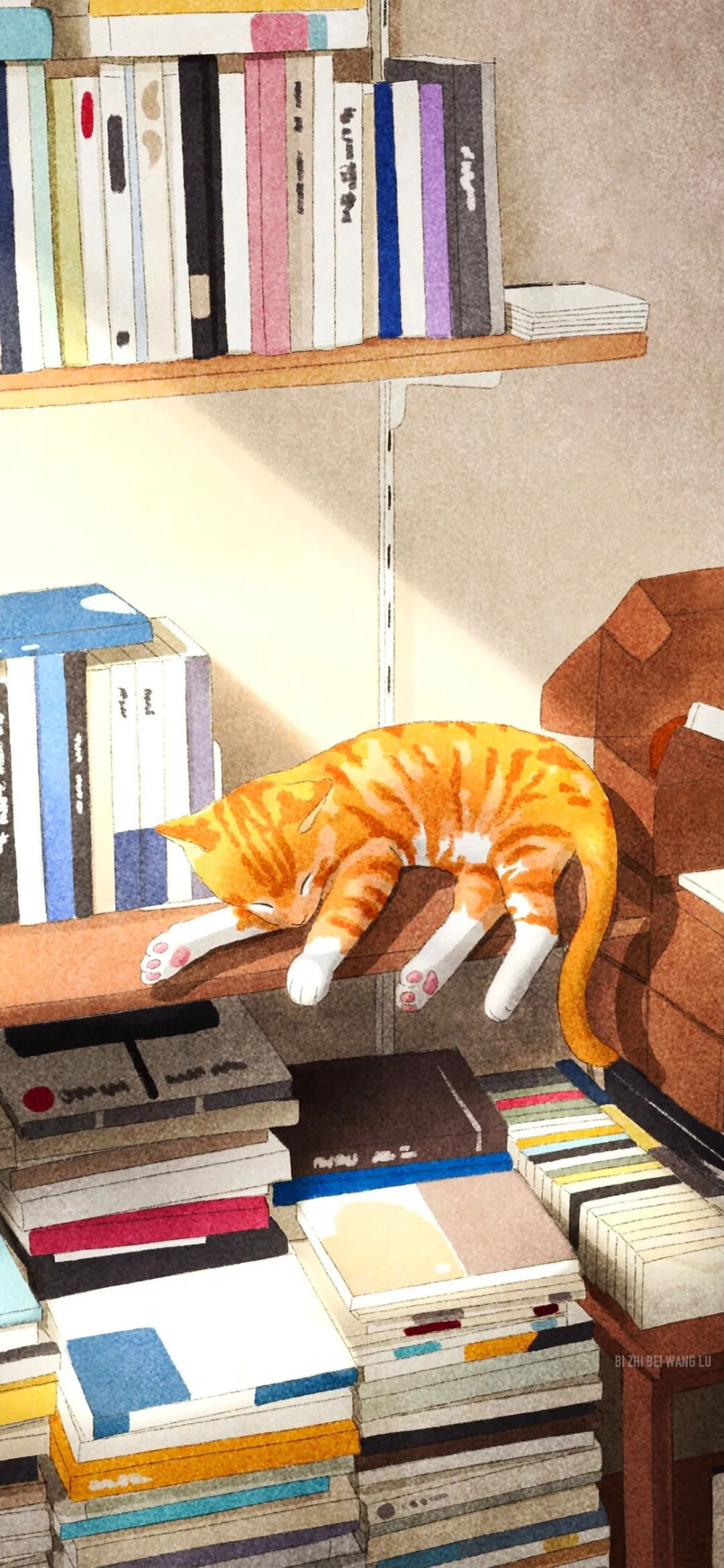 可爱的
图片来自网络侵删