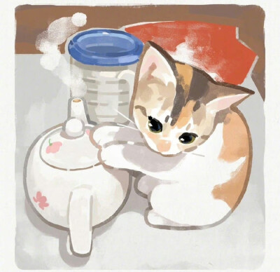  小猫咪，fr/gentleeeeeeeecat ​​​