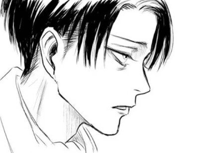 Levi