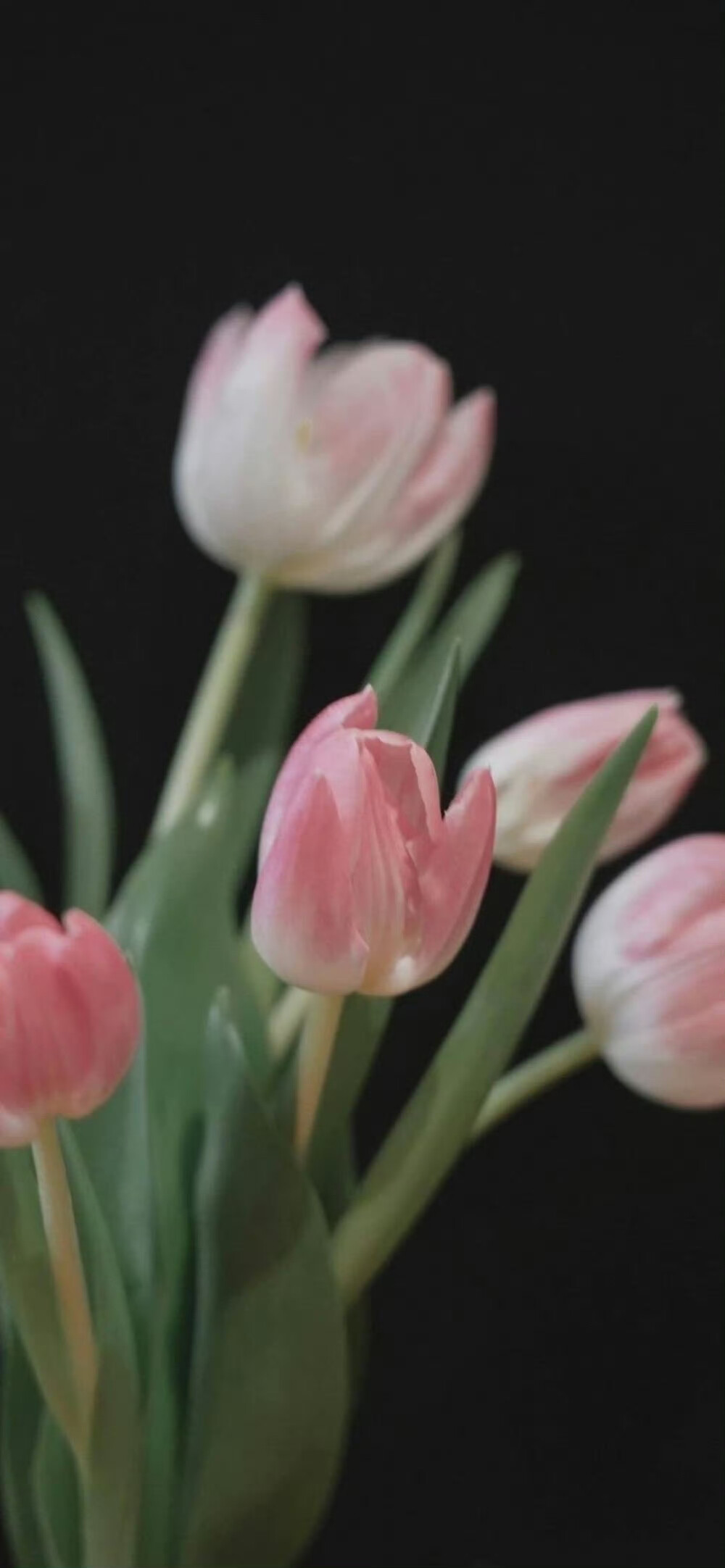 高清风景手机壁纸