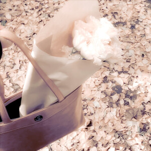 「ᴸᵒᵛᵉ ˢᶜᵉⁿᵃʳⁱᵒ」