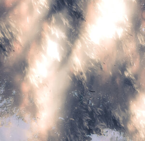 「ᴸᵒᵛᵉ ˢᶜᵉⁿᵃʳⁱᵒ」