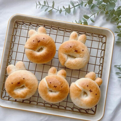 米菲食物
图源小红薯：Miffyland