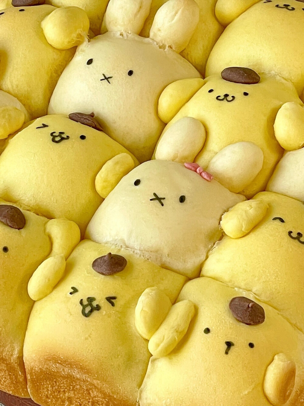 来一口布丁狗૮₍ ・ᴥ・₎ა ​​​