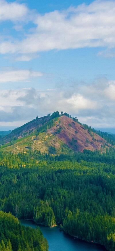 时光倏挽，转眼又是一场花开花落。极笔里的颤怀，山更高了，水山更远了，思念越发显得长了。