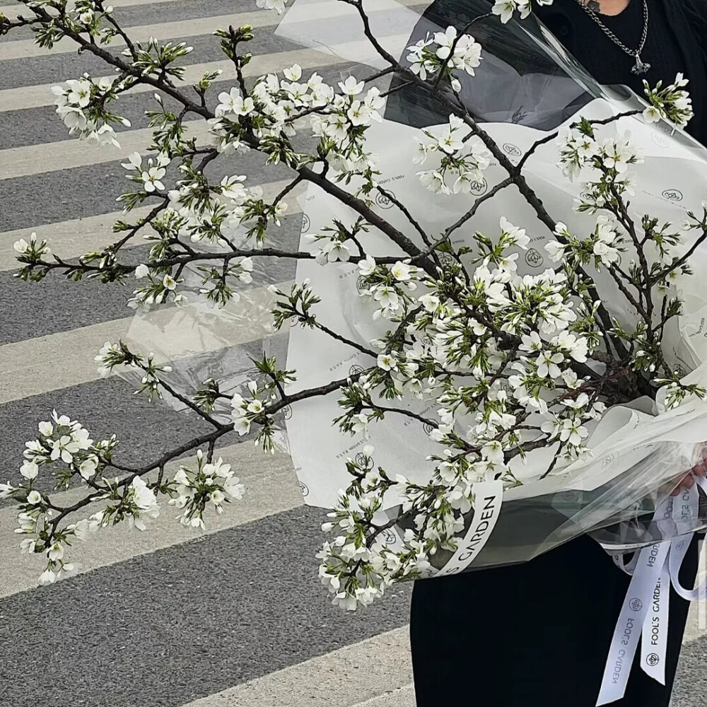 “花出，花开，花盛，花枯，花落，有始就有终”。
背景图