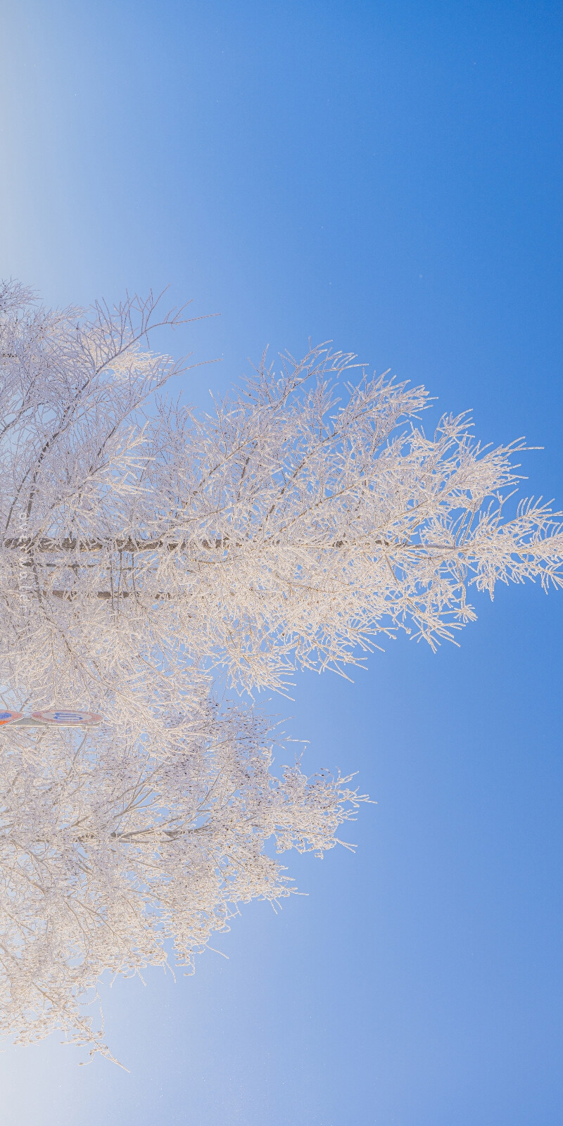 晴时雪
「小樽.富良野」
© overwater