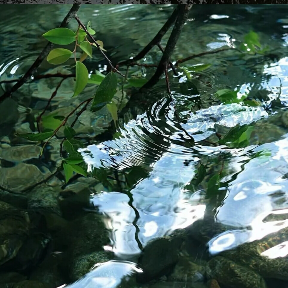 青山一片云雾，心安即归处
背景图