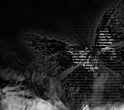 蝴蝶元素高级黑白背景图