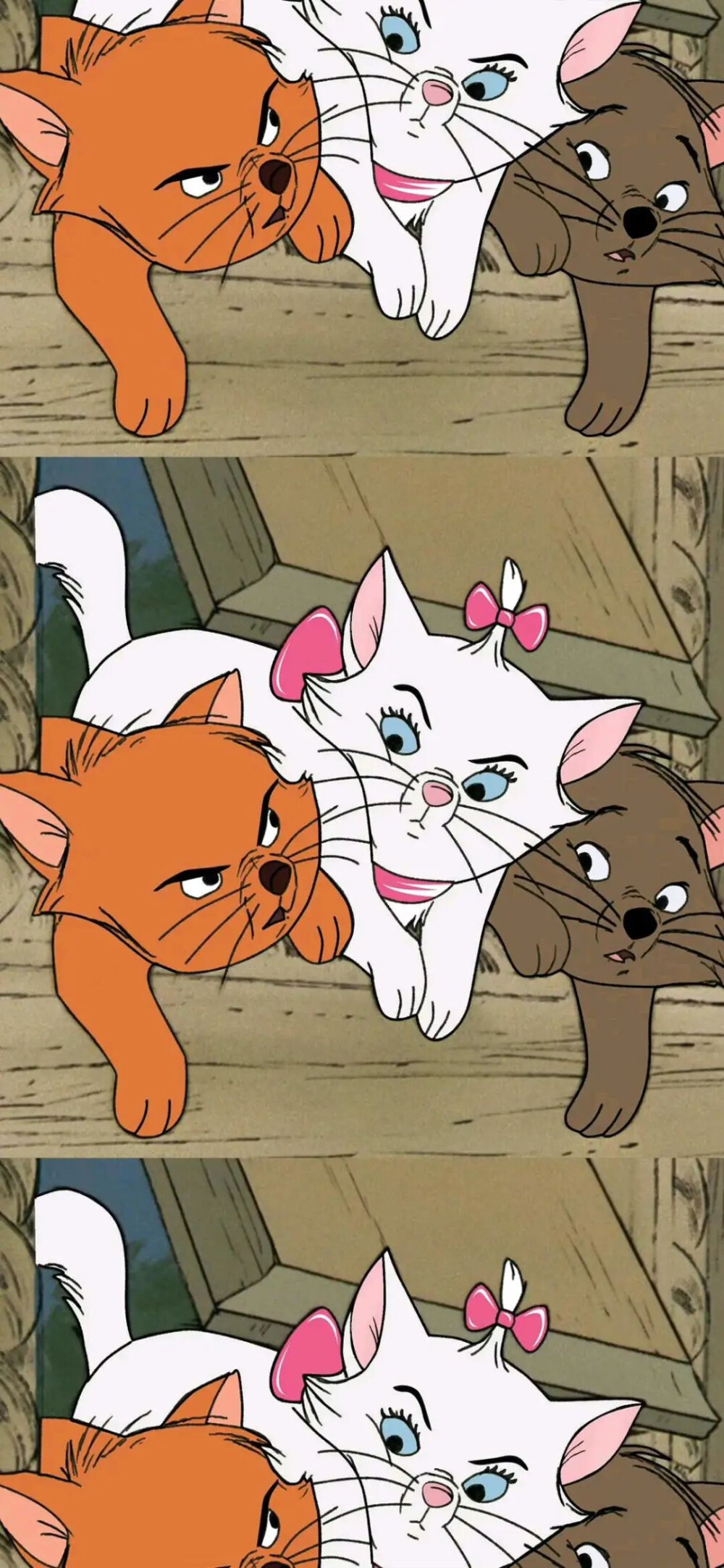 可爱的
图片来自网络侵删