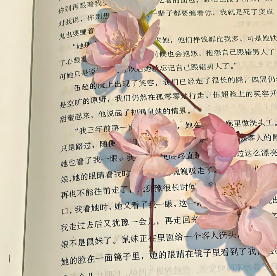 “花出，花开，花盛，花枯，花落，有始就有终”。
背景图