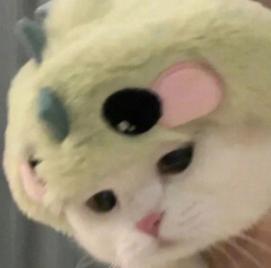 幼儿园等人来接的小朋友