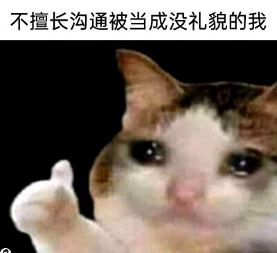图源网络