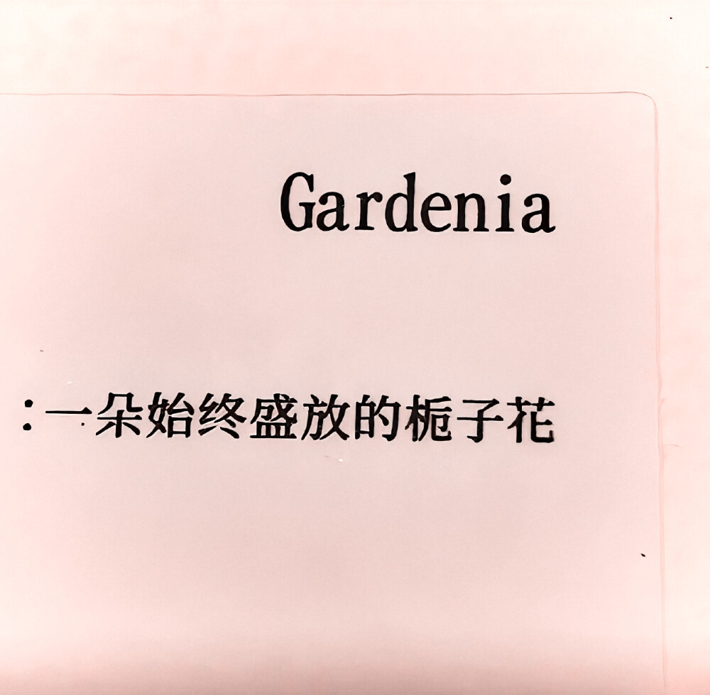 Gardenia in full bloom、当然没有永恒的爱 怎么会有永恒的爱 我是流动的河流 你也是。