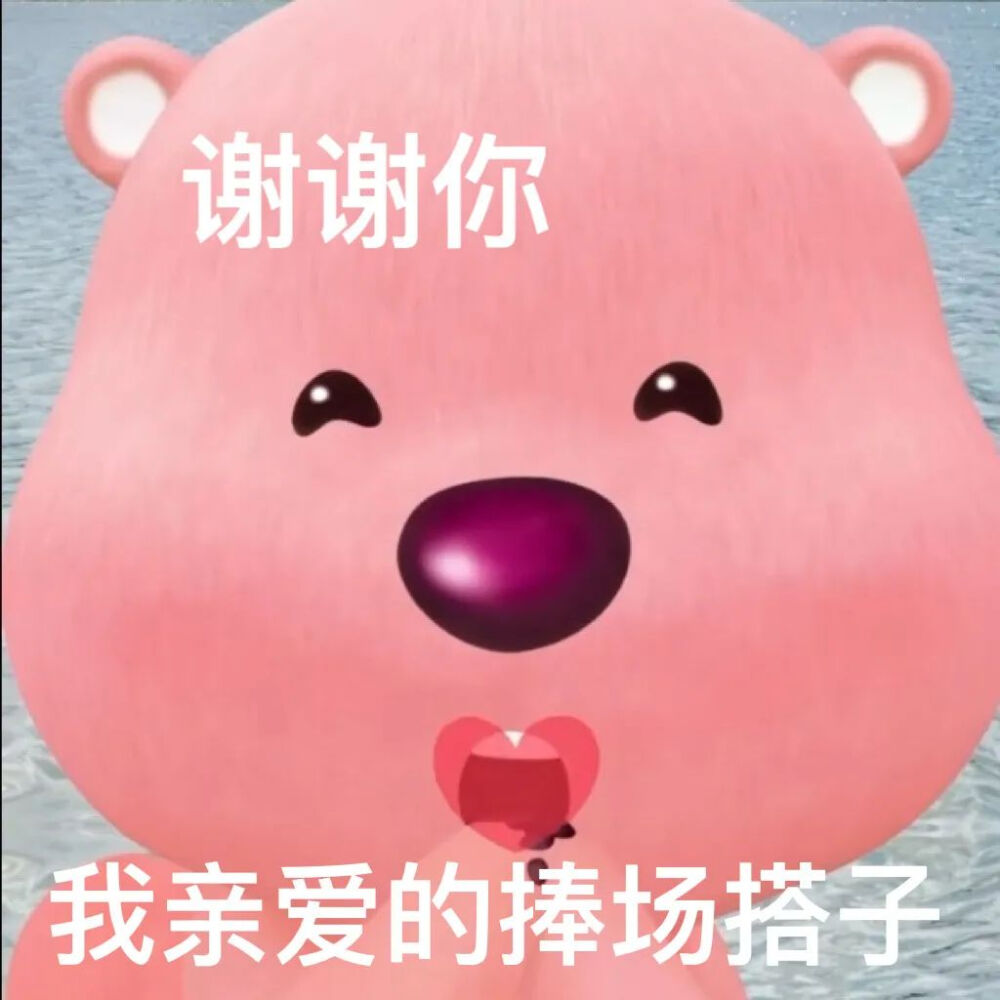 小海狸Loopy搭子表情包
