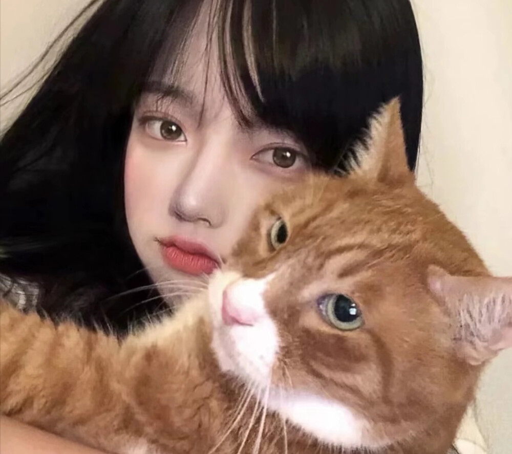 抱猫咪的头像