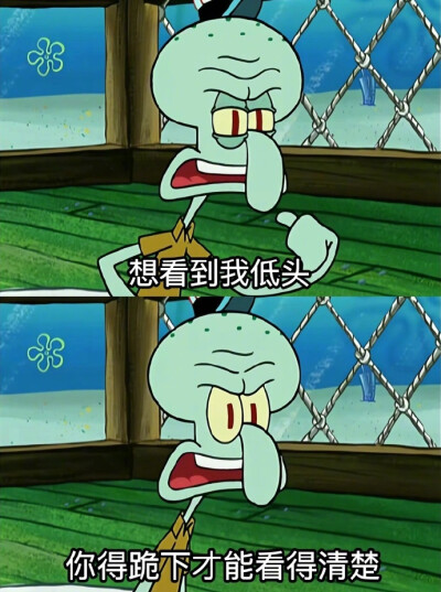 表情