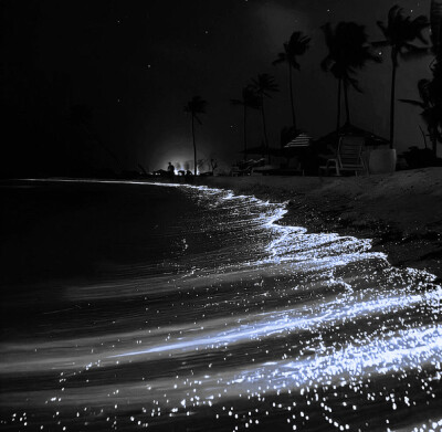 我做划破黑暗的予，她便是坚硬的盾。