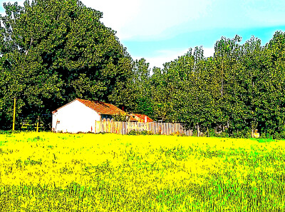 小房子•᷄ࡇ•᷅