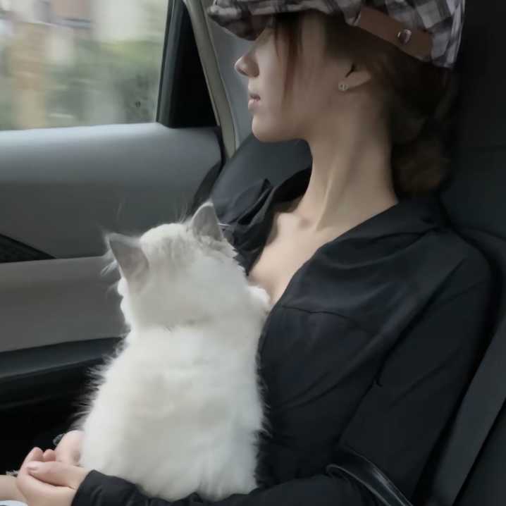 一只猫女頭