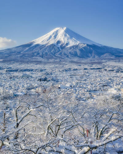 日本 山梨県 新倉山浅間公園 富士山 雪 ins a_yumi0425