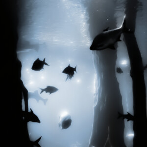 赵露思

背景图注望山川