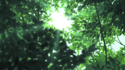 动漫动态