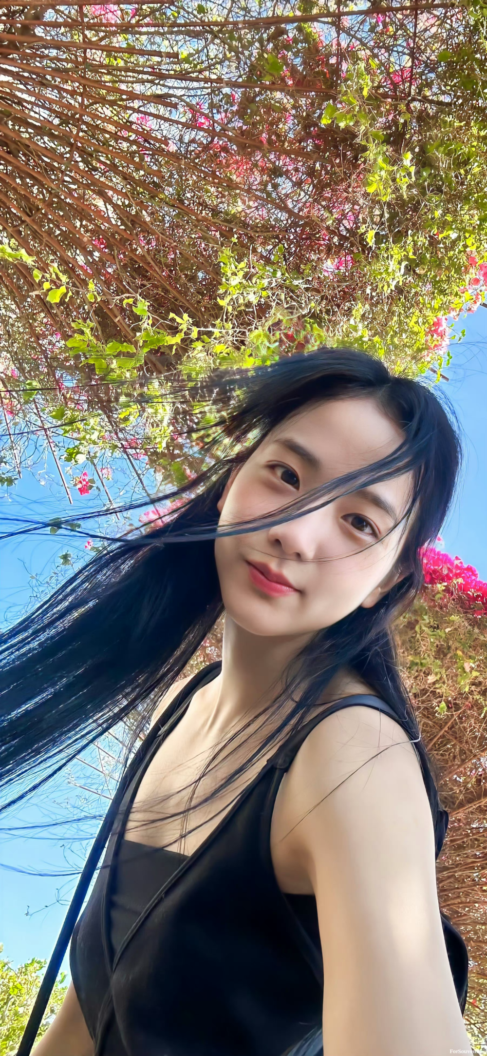 金智秀jisoo