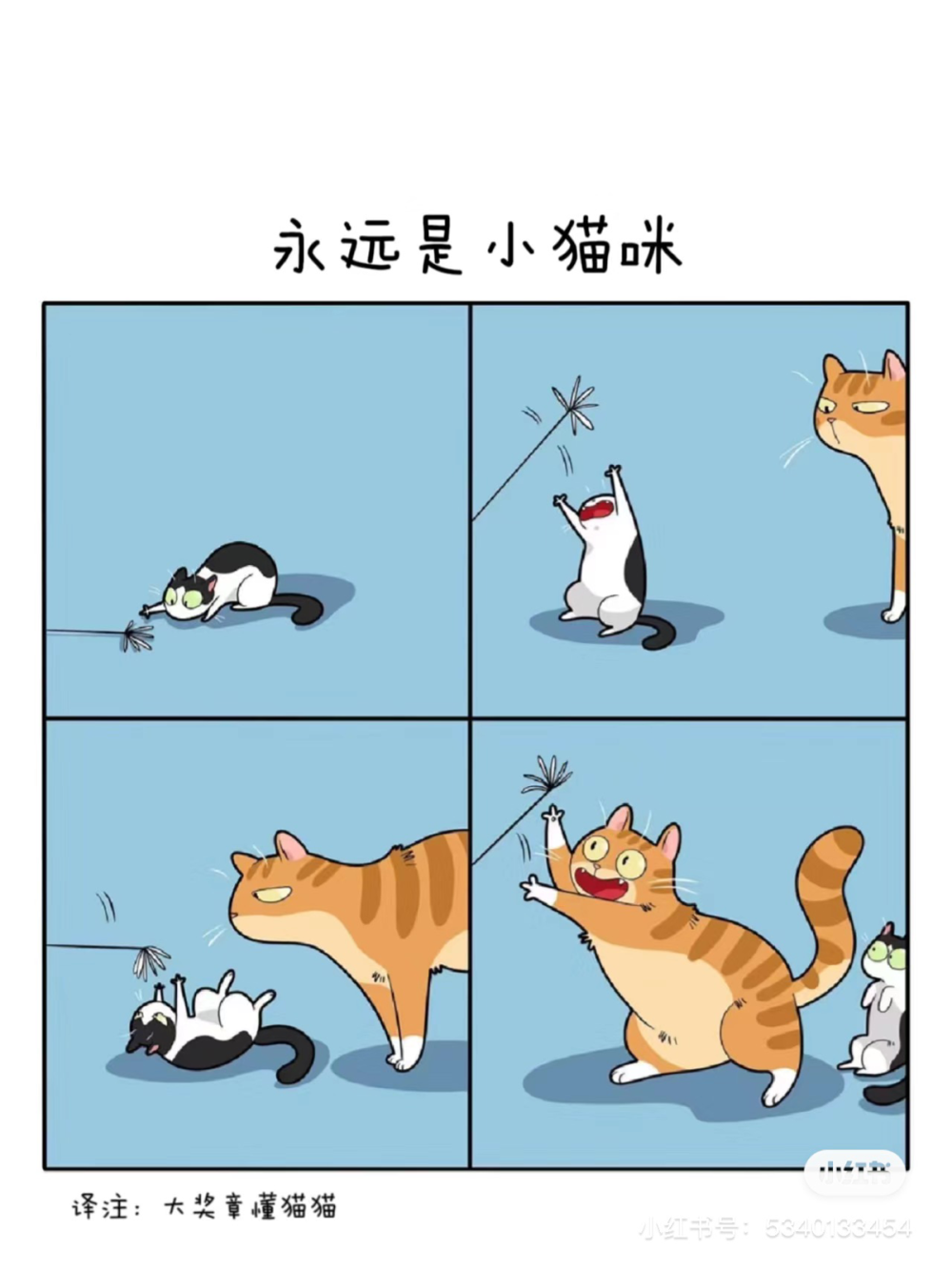 四格漫画