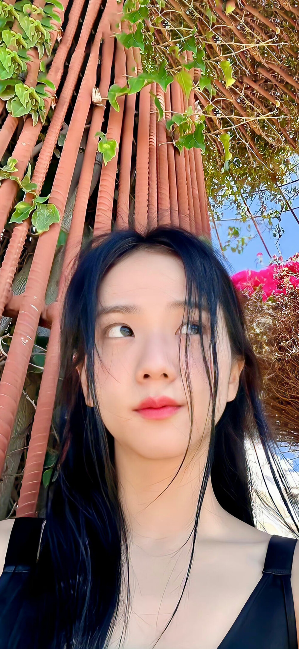 金智秀jisoo