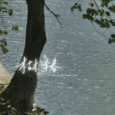 氛围感WeChat手写文字背景图
图源微博@林维喂喂