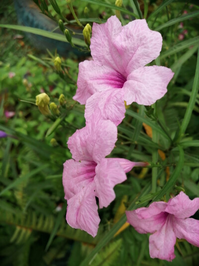 解落三秋叶，能开二月花。