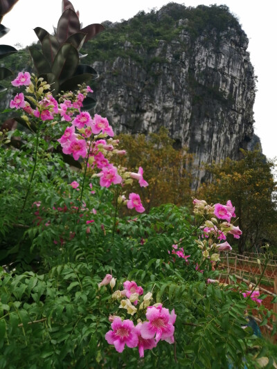 空山新雨后，天气晚来秋。