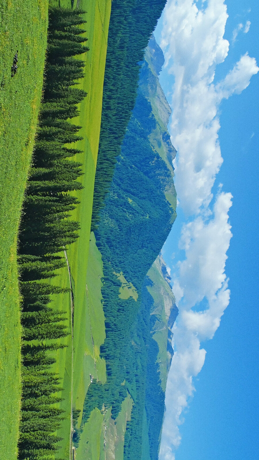 你当像鸟，飞往自由的风
你当像风，吹向旷野与群山
你当像山，巍峨于云海之巅
你当像云，跨越千里万里
奔赴一切生命的未知与热爱
by.@温叁叁-
