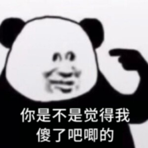 你是不是觉得我傻了吧唧的熊猫头