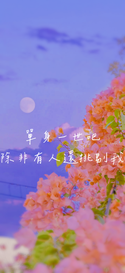 林家謙歌詞背景