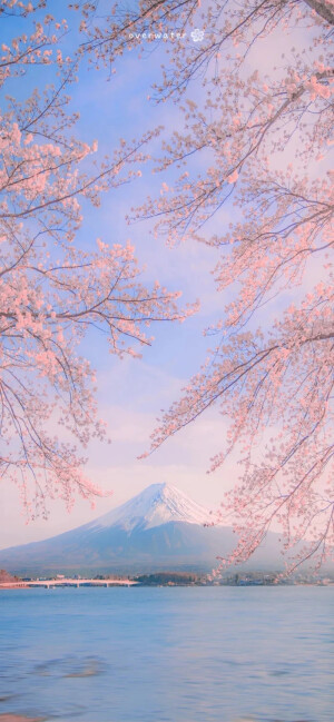 山