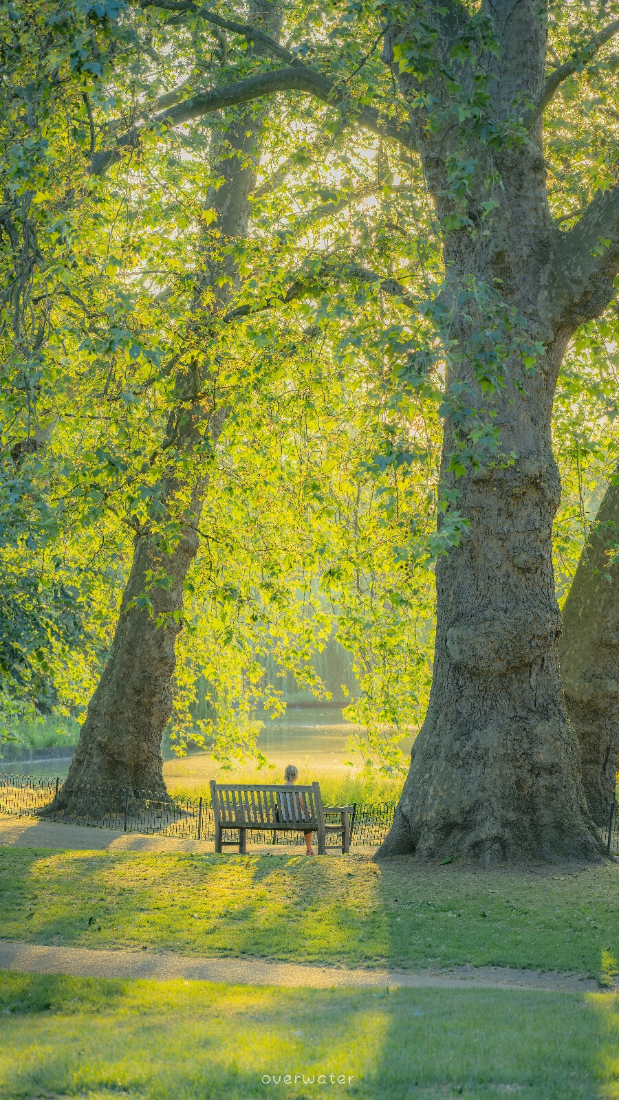 And yet this time removed was summer’s time.
photo by overwater