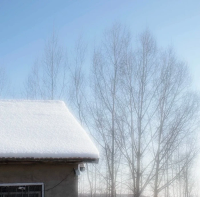 山顶夕阳落下 雪落下薄薄一层 我亲吻爱人的蝴蝶骨 冬天来了