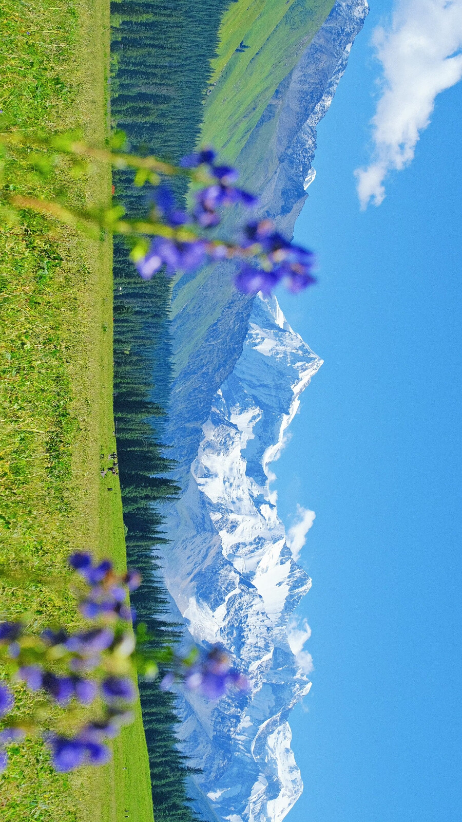 你当像鸟，飞往自由的风
你当像风，吹向旷野与群山
你当像山，巍峨于云海之巅
你当像云，跨越千里万里
奔赴一切生命的未知与热爱
by.@温叁叁-
