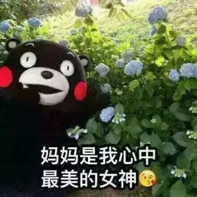 母亲节必备九宫格