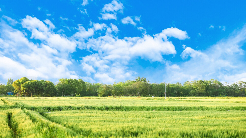 后陡门的景