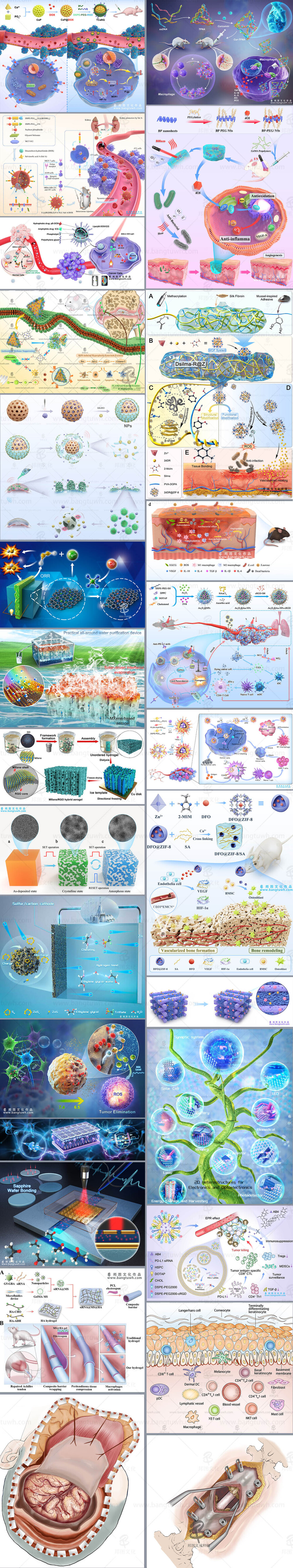 杂志封面设计科研作图SCI画图TOC示意图学术文章配图在线培训
论文配图杂志封面设计科研绘图sci医学插画三维动画综述图
科研作图杂志封面论文配图sci医学插画设计三维动画教程
sci论文配图学术期刊封面设计科研绘图医学插画教程
医学插画论文配图杂志sci封面设计科研绘图教程三维动画
医学动画论文配图杂志sci封面设计科研绘图教程三维动画教程
sci绘图论文配图3d科研绘图学术期刊封面设计医学插画
科研绘图邦图文化论文配图杂志封面设计医学插画
邦图文化科研绘图SCI画图学术杂志封面设计TOC示意图教程
医学插画，医学动画，科研动画，三维动画，信号通路图，ps科研绘图，AI科研