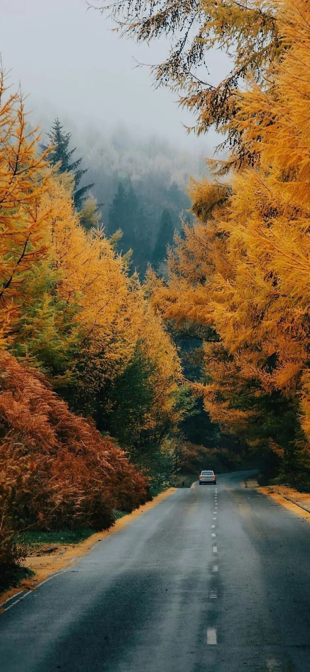 秋天- 高清图片,堆糖,美图壁纸兴趣社区