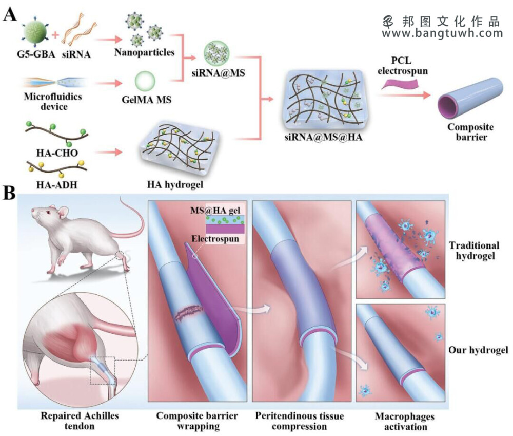 
论文配图杂志封面设计科研绘图sci医学插画三维动画综述图
科研作图杂志封面论文配图sci医学插画设计三维动画教程
sci论文配图学术期刊封面设计科研绘图医学插画教程
医学插画论文配图杂志sci封面设计科研绘图教程三维动画
医学动画论文配图杂志sci封面设计科研绘图教程三维动画教程
sci绘图论文配图3d科研绘图学术期刊封面设计医学插画
科研绘图邦图文化论文配图杂志封面设计医学插画